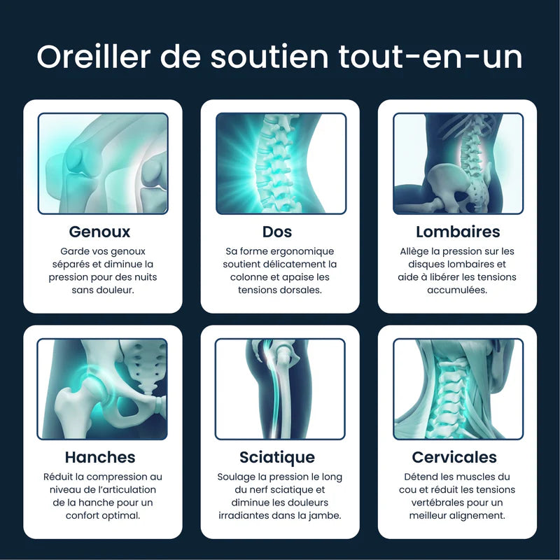 Kneelo - Coussin Genoux